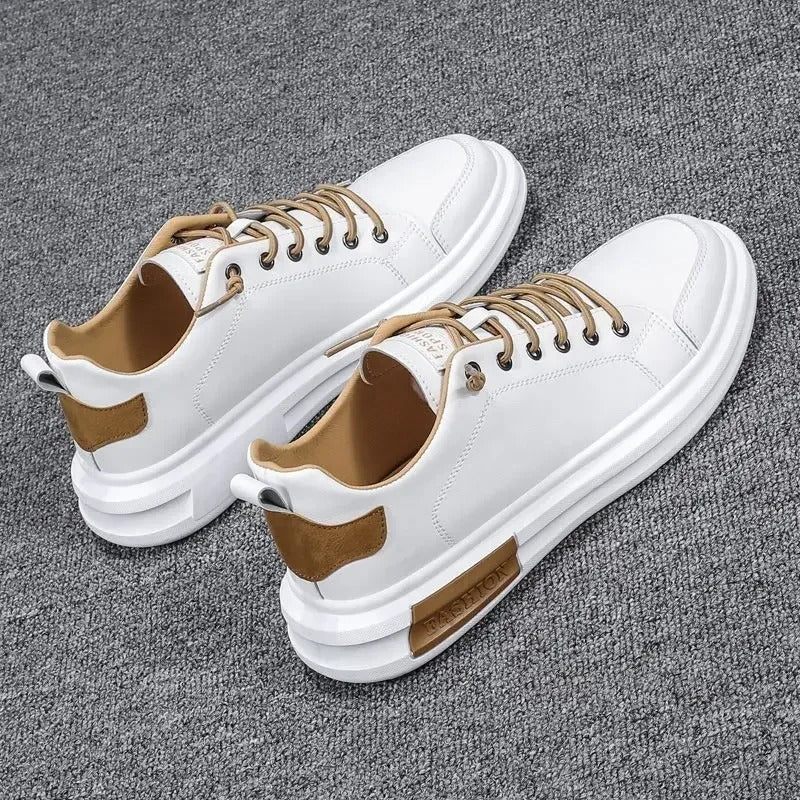 Nuevos Tenis Michell Casuales